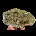 specimen video
