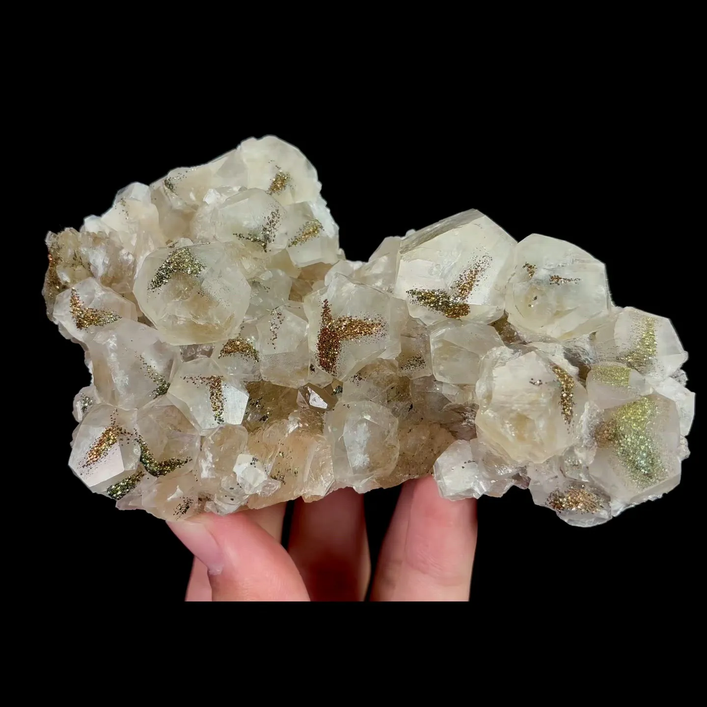 specimen video