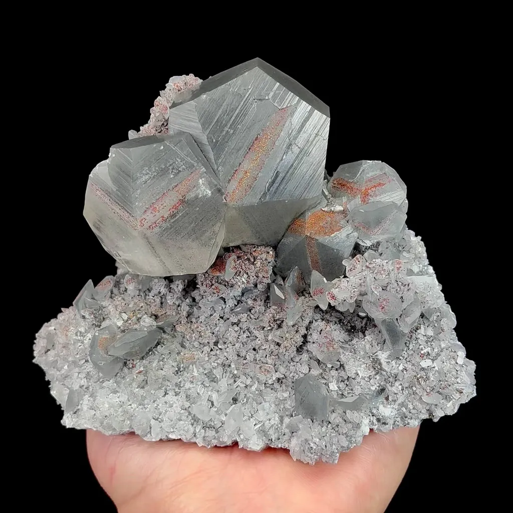 specimen video