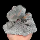 specimen video