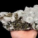 Natural Calcite and Pyrite, Mineral Specimen:Fujian,China (220*95*40MM) - image 4