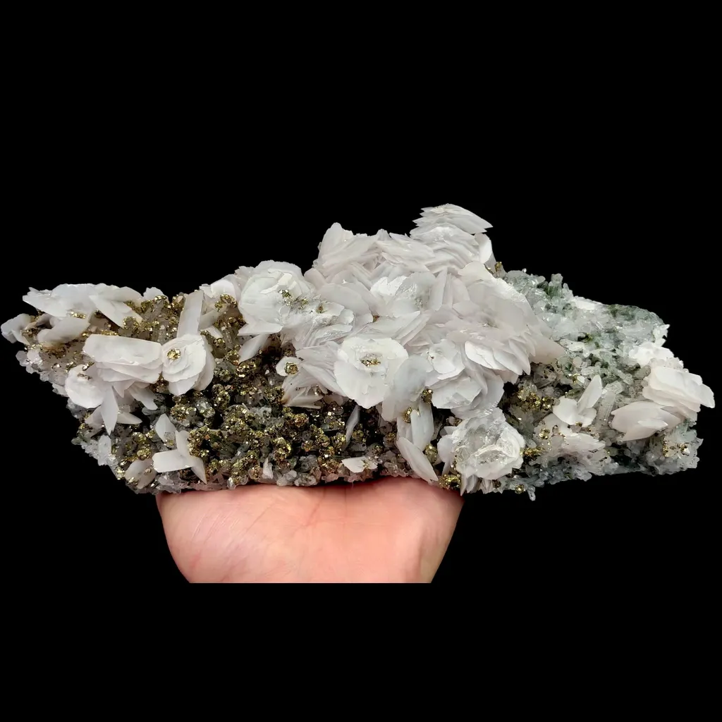 specimen video