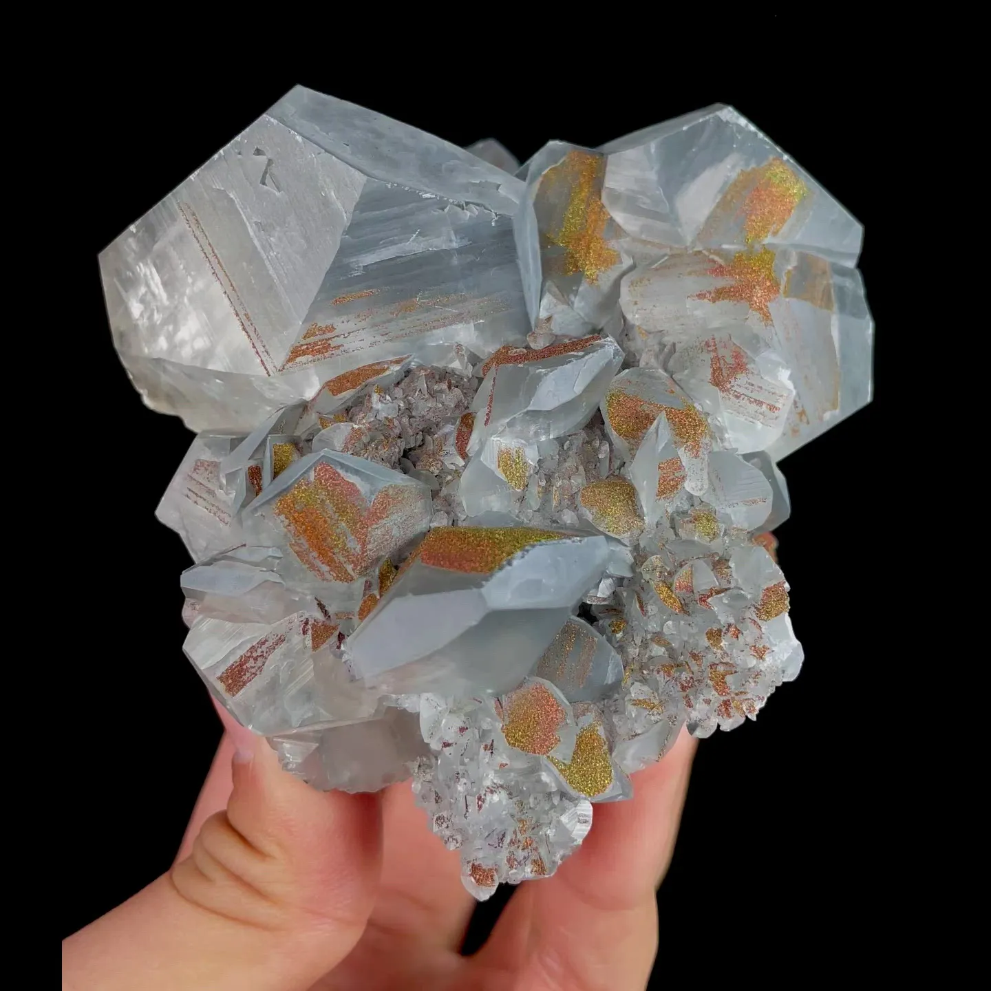 specimen video