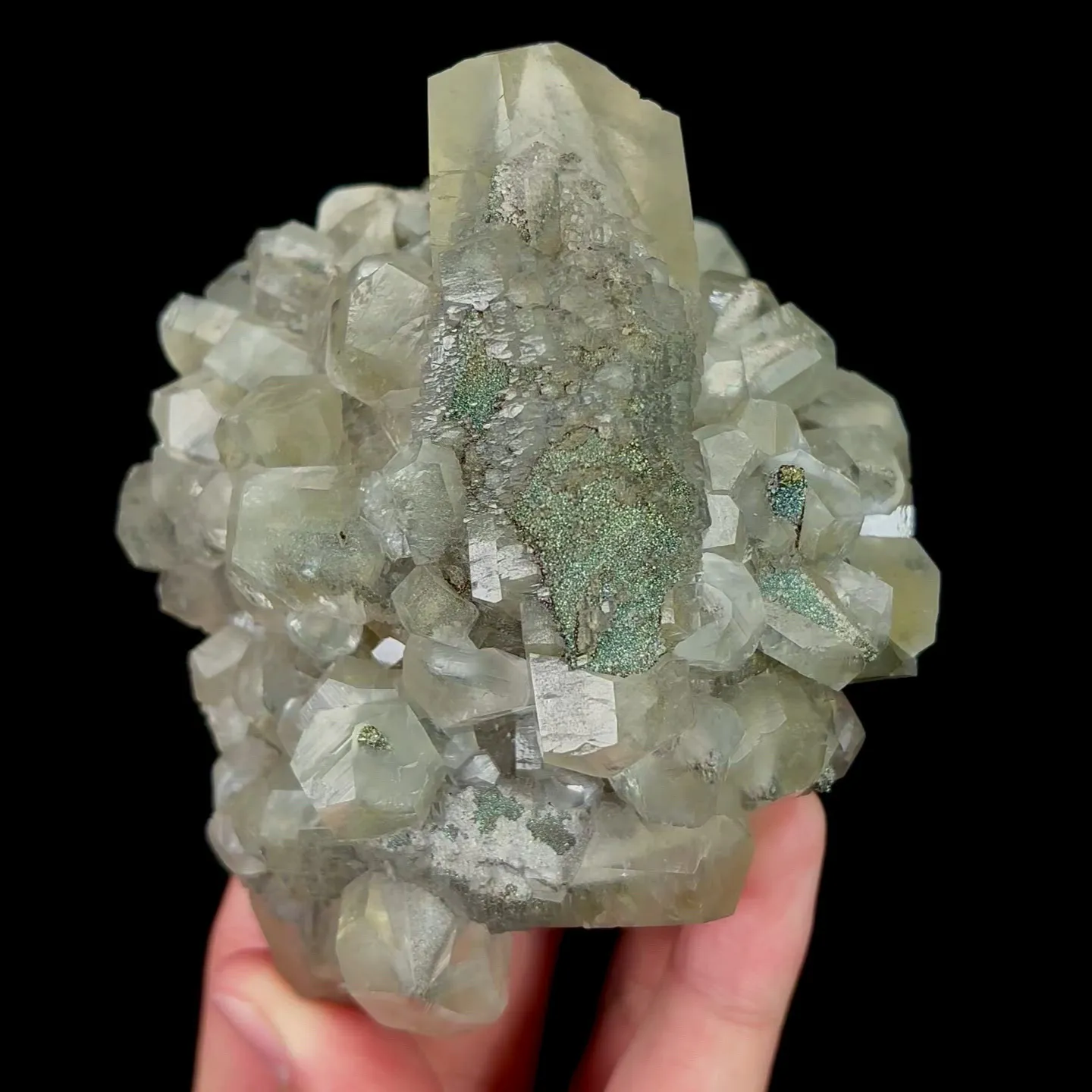 specimen video
