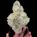 specimen video