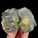 specimen video