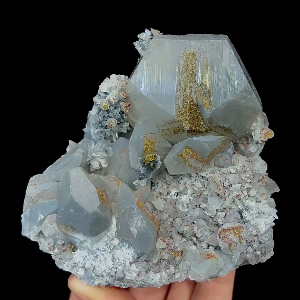 specimen video