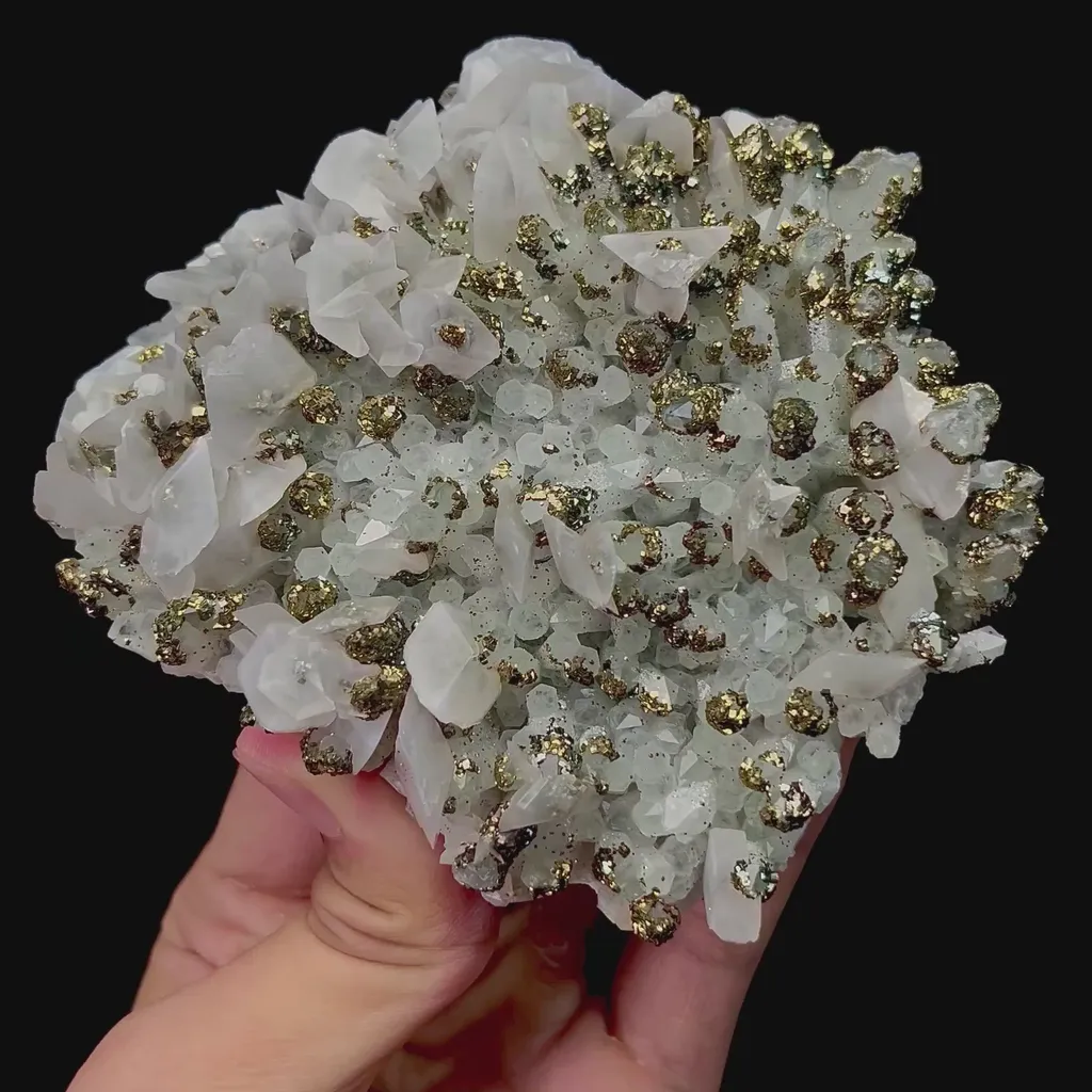 specimen video