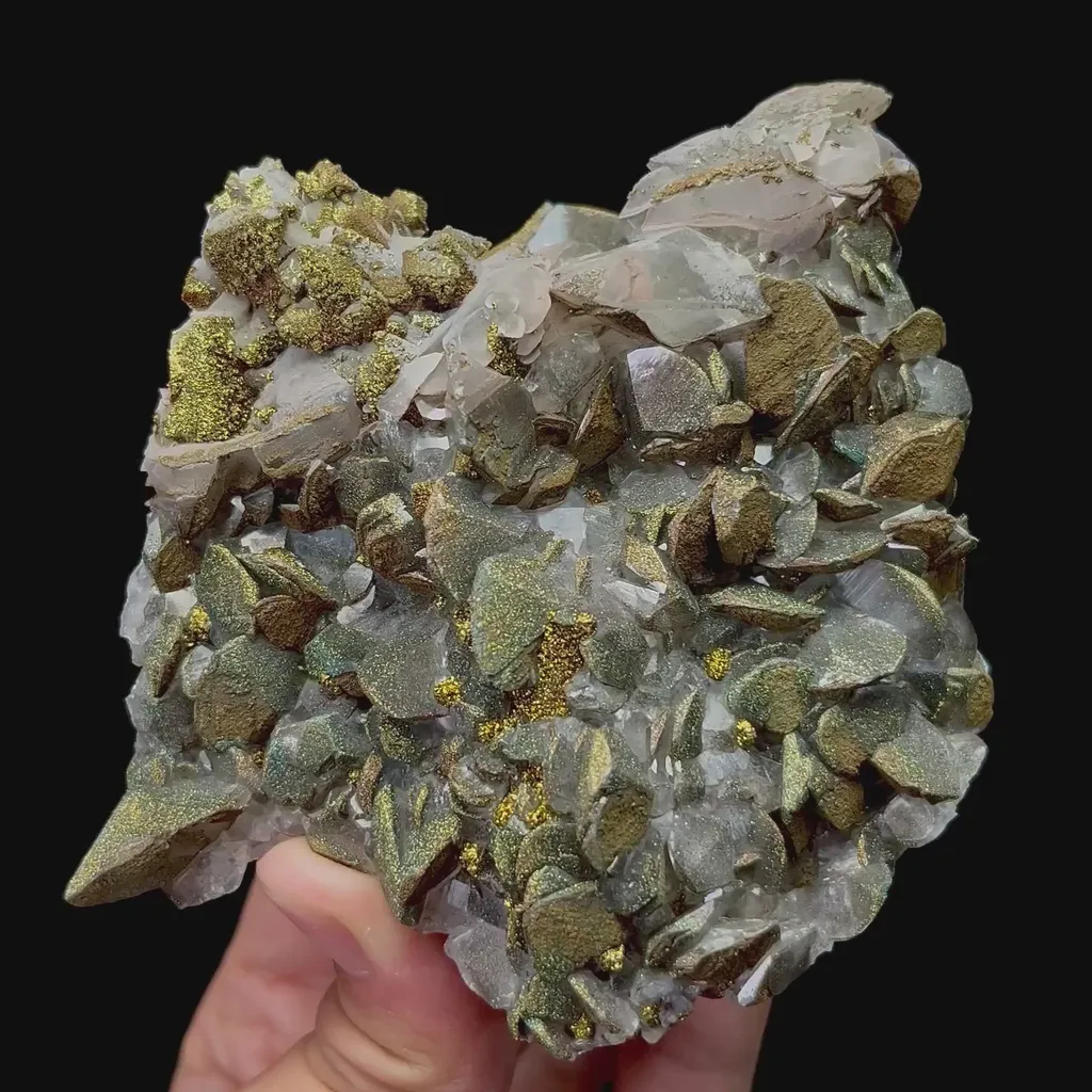 specimen video