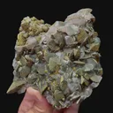 specimen video