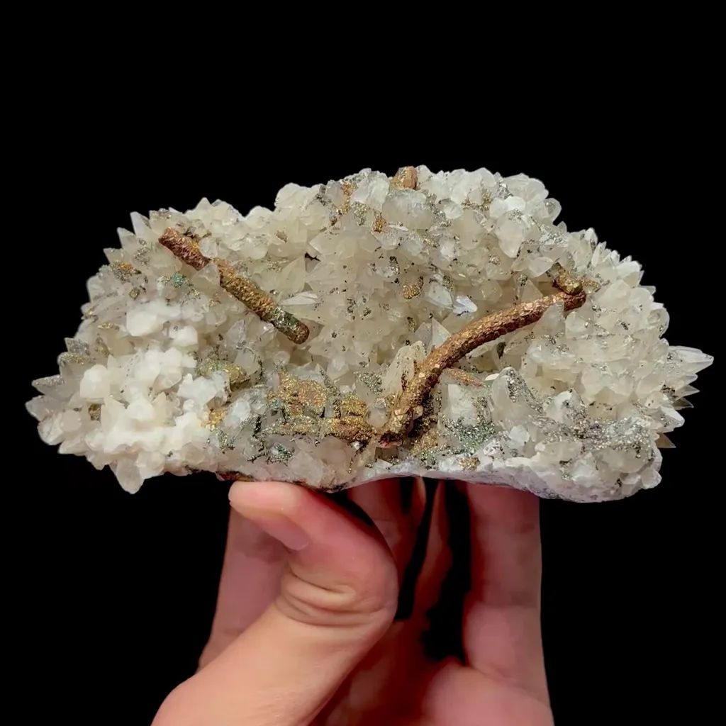 specimen video