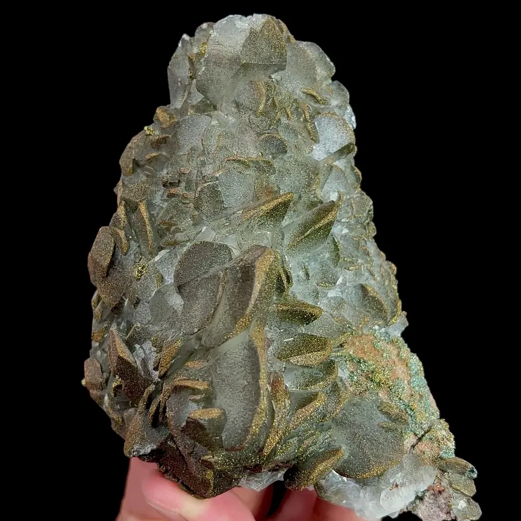 specimen video