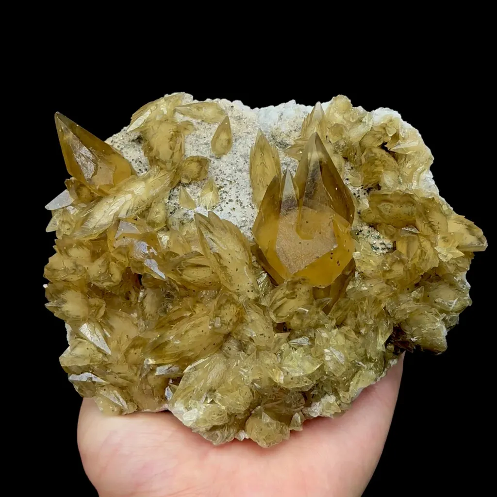 specimen video