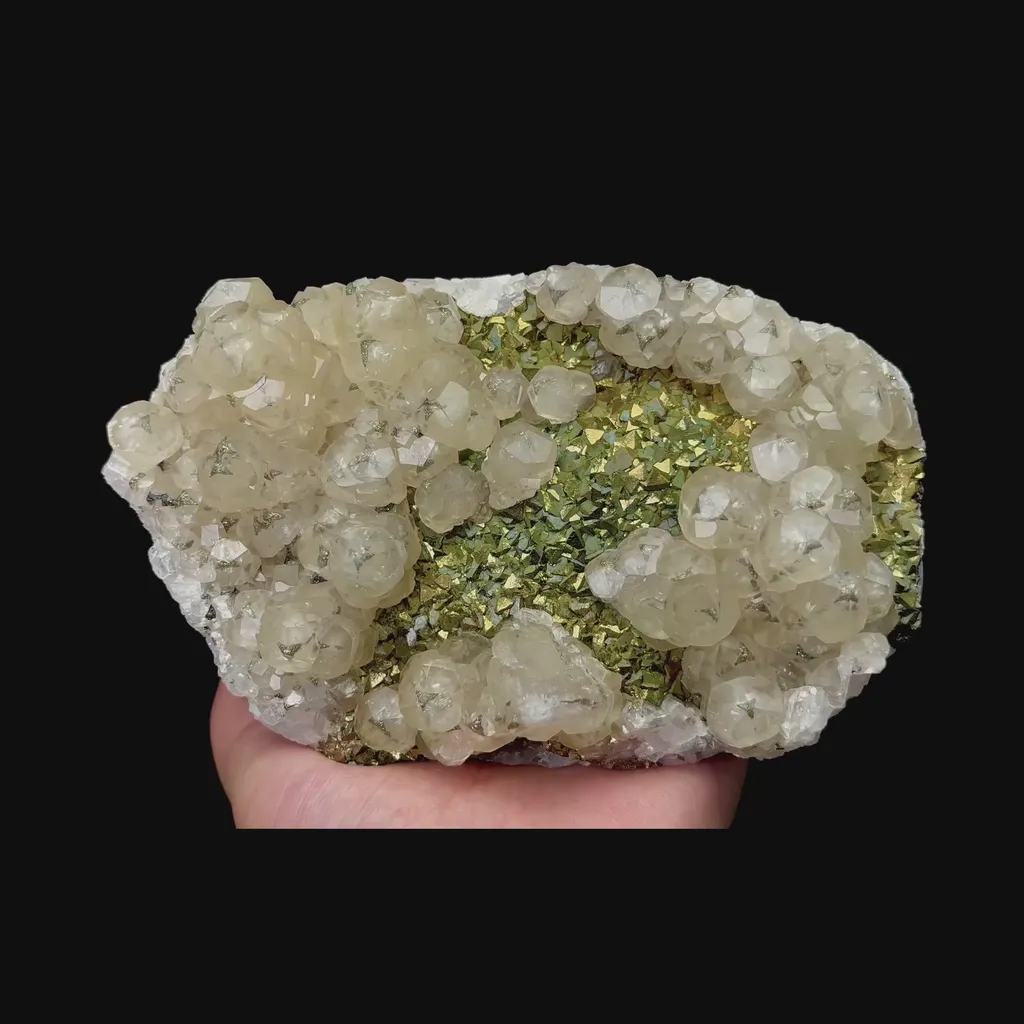 specimen video