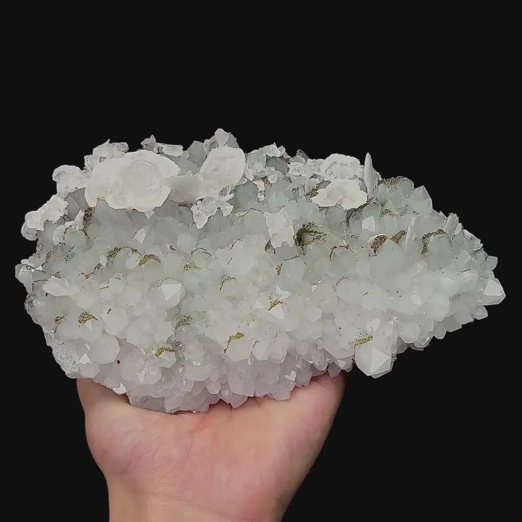 specimen video