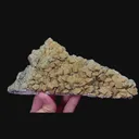 specimen video