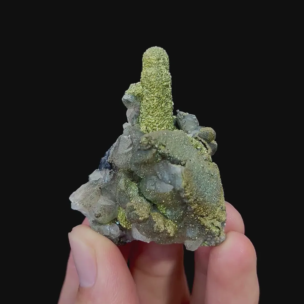 specimen video