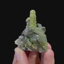 specimen video
