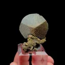 specimen video