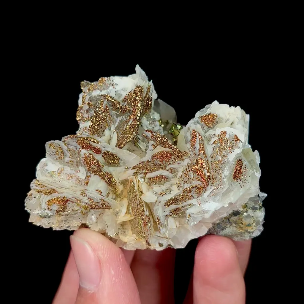 specimen video