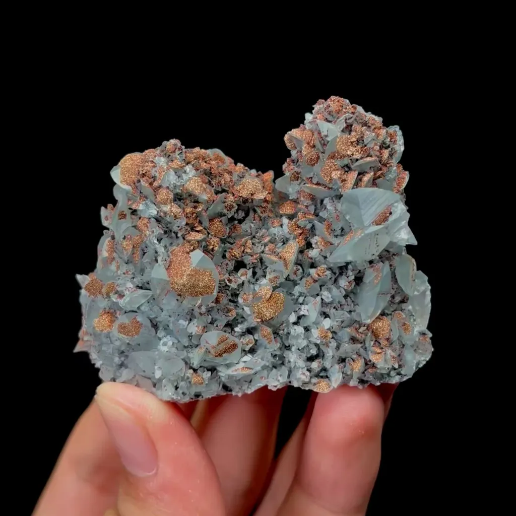 specimen video