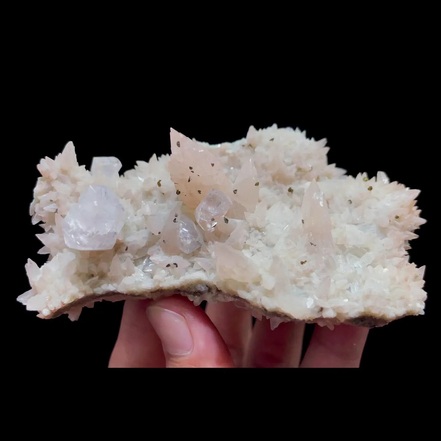 specimen video
