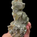 specimen video