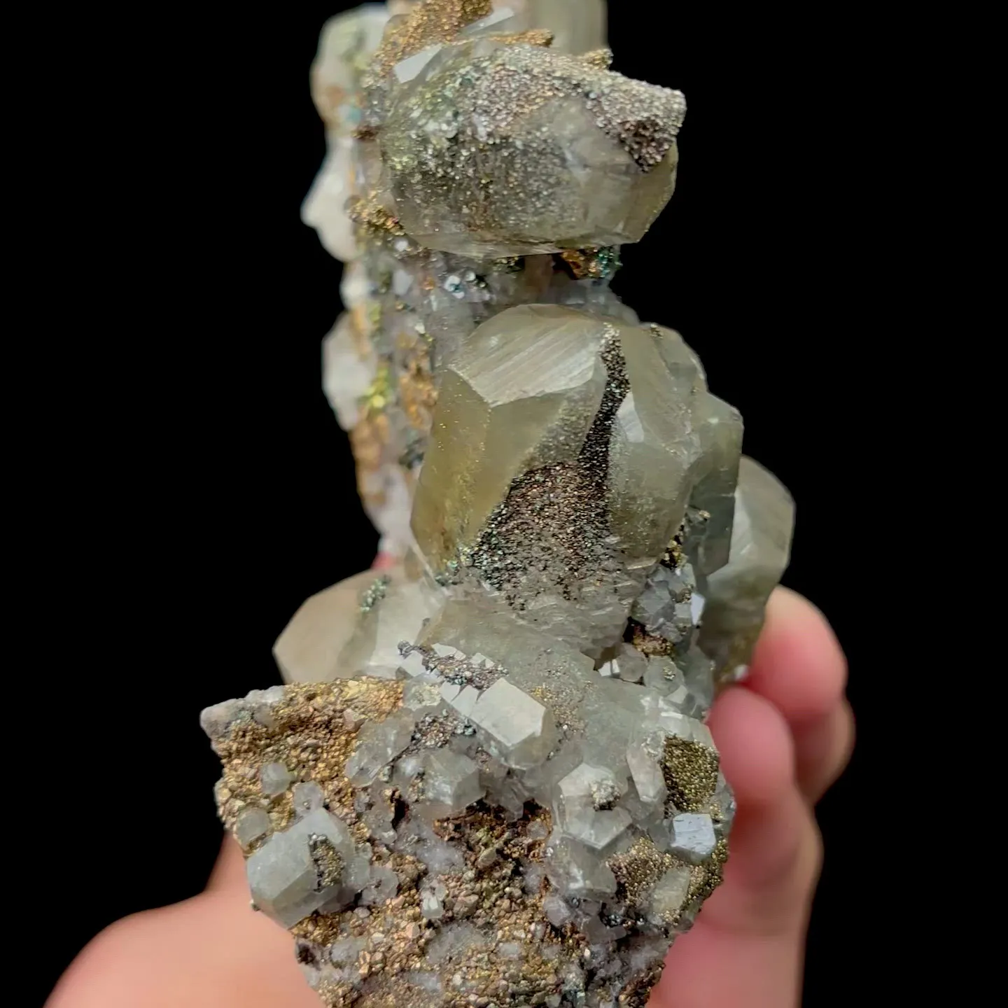 specimen video