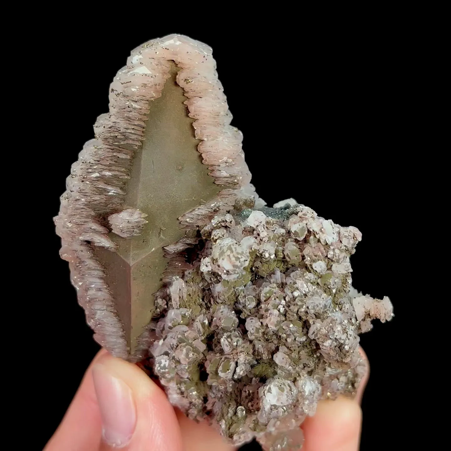specimen video