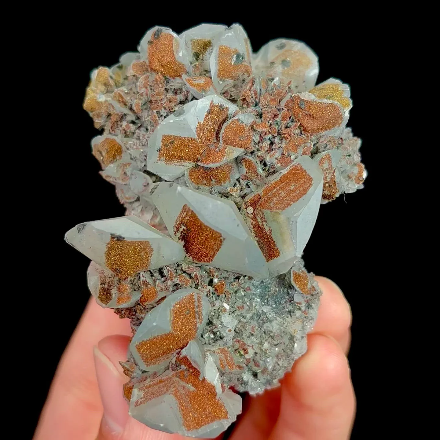 specimen video