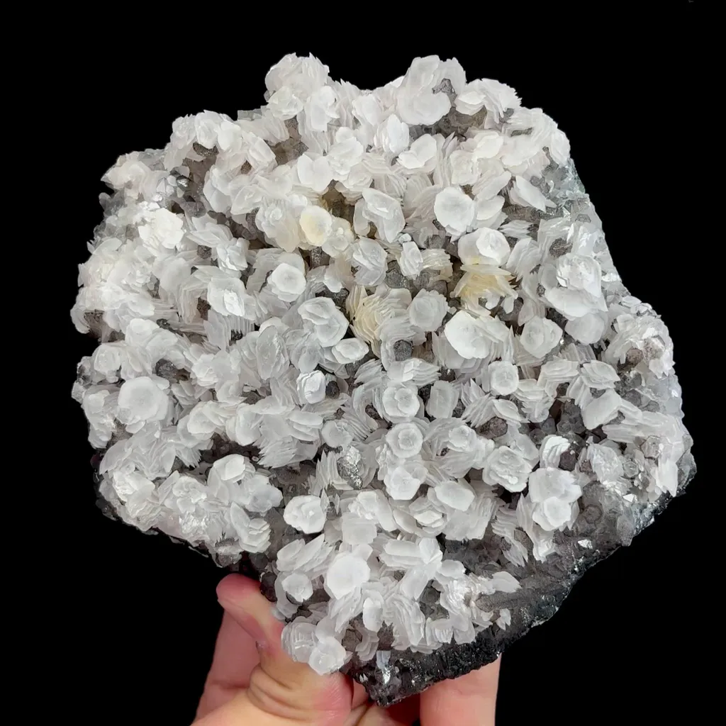 specimen video