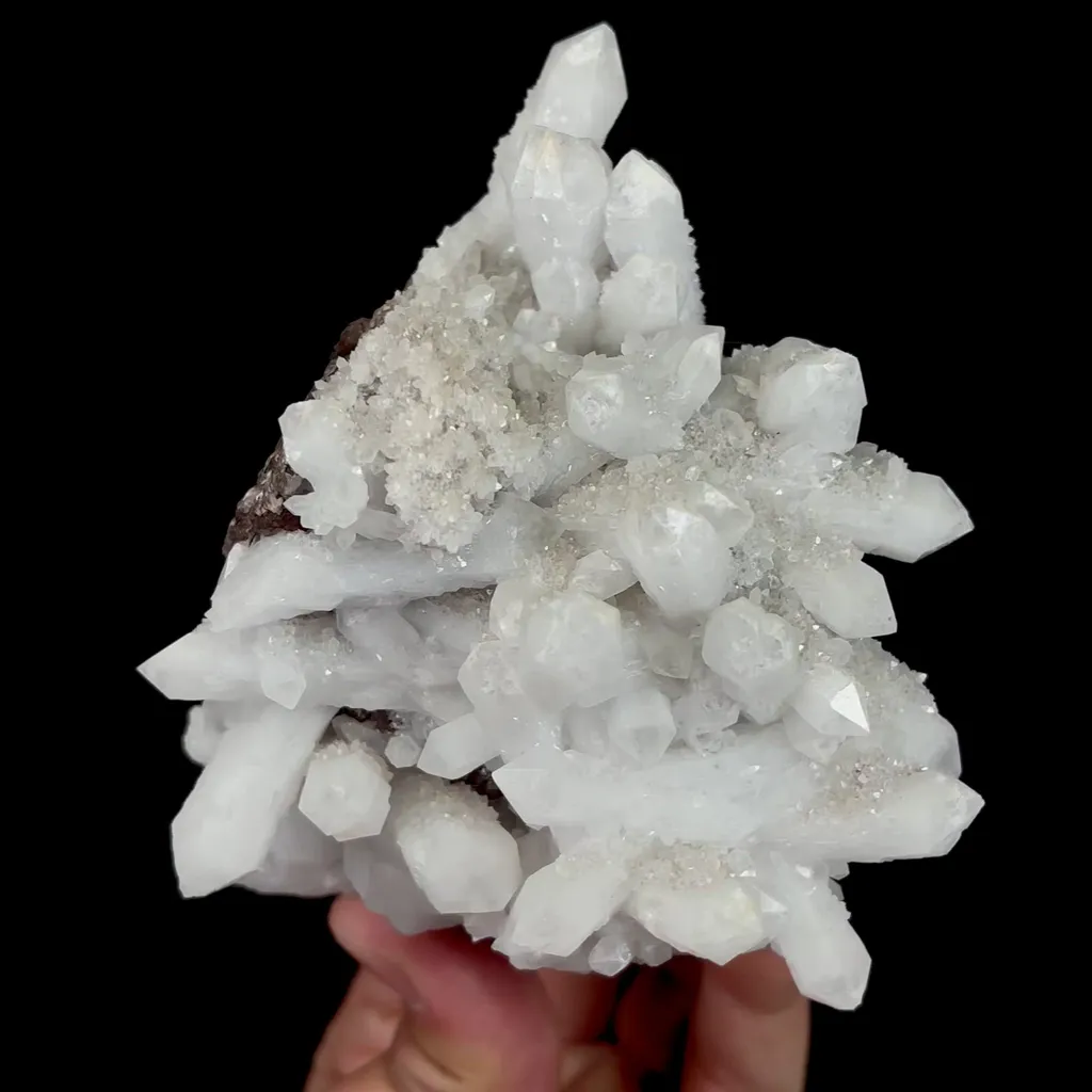 specimen video