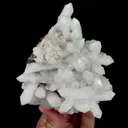 specimen video