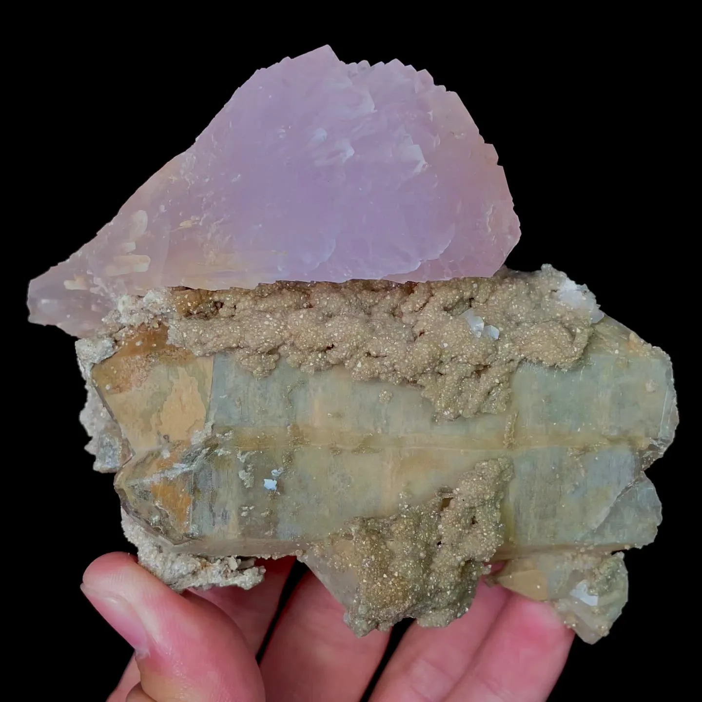 specimen video