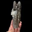 specimen video