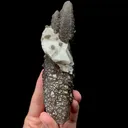 Natural Calcite and Quartz Symbiosis Mineral Specimen,High Quality Specimen,DAYE,HUBEI,CHINA(45*130*35mm) - image 2