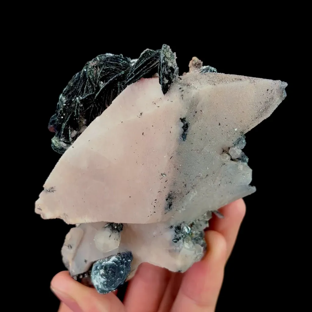 specimen video