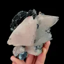 specimen video