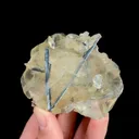 specimen video