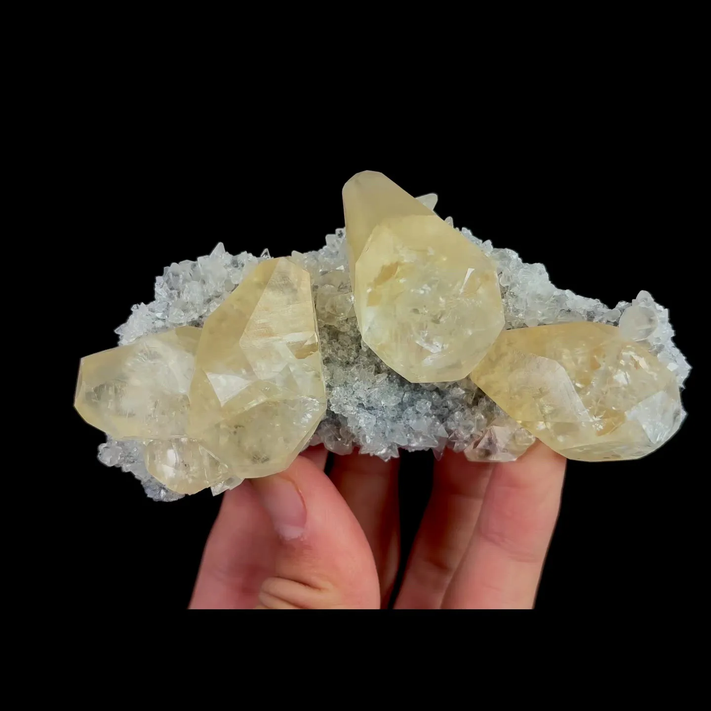 specimen video