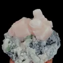 specimen video