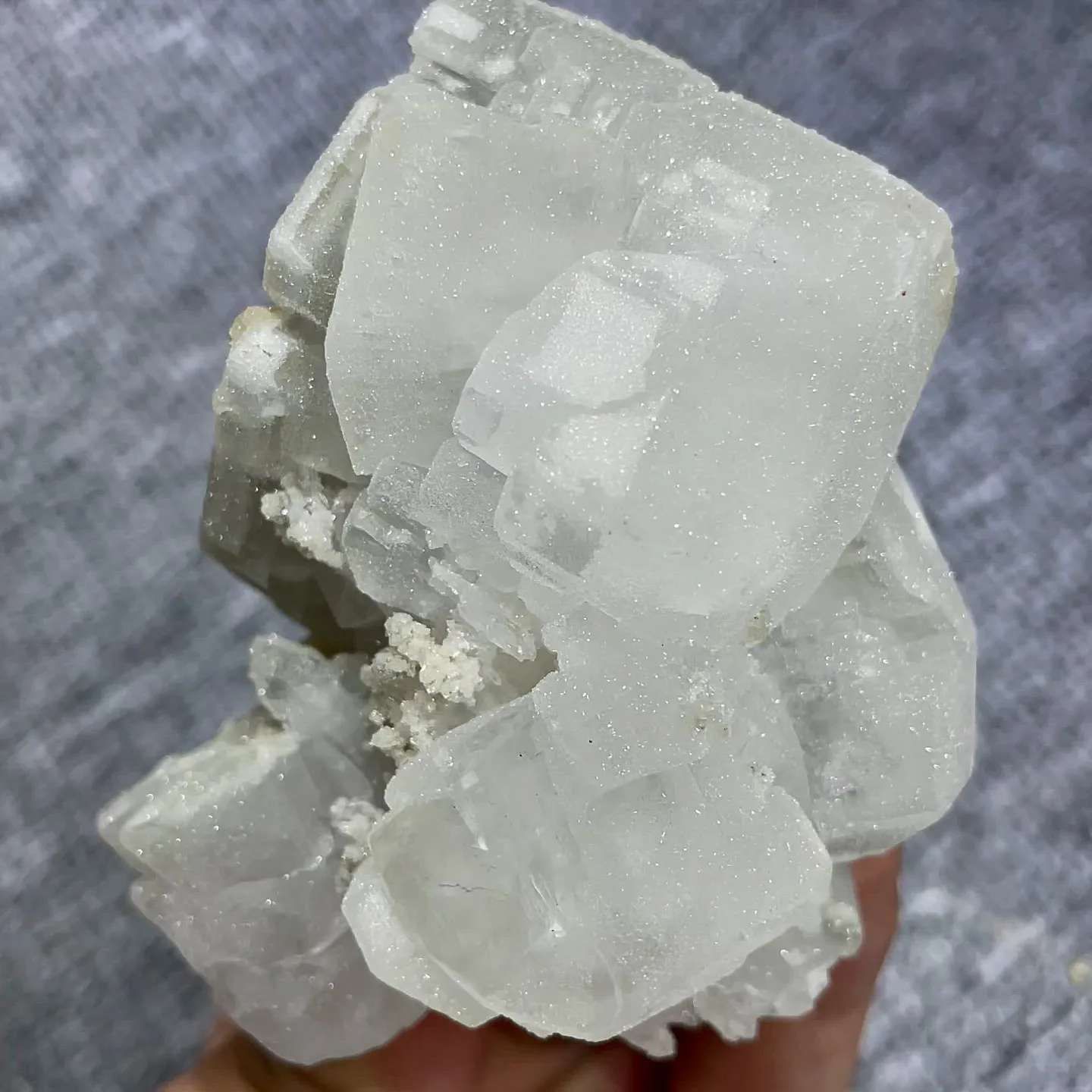 specimen video