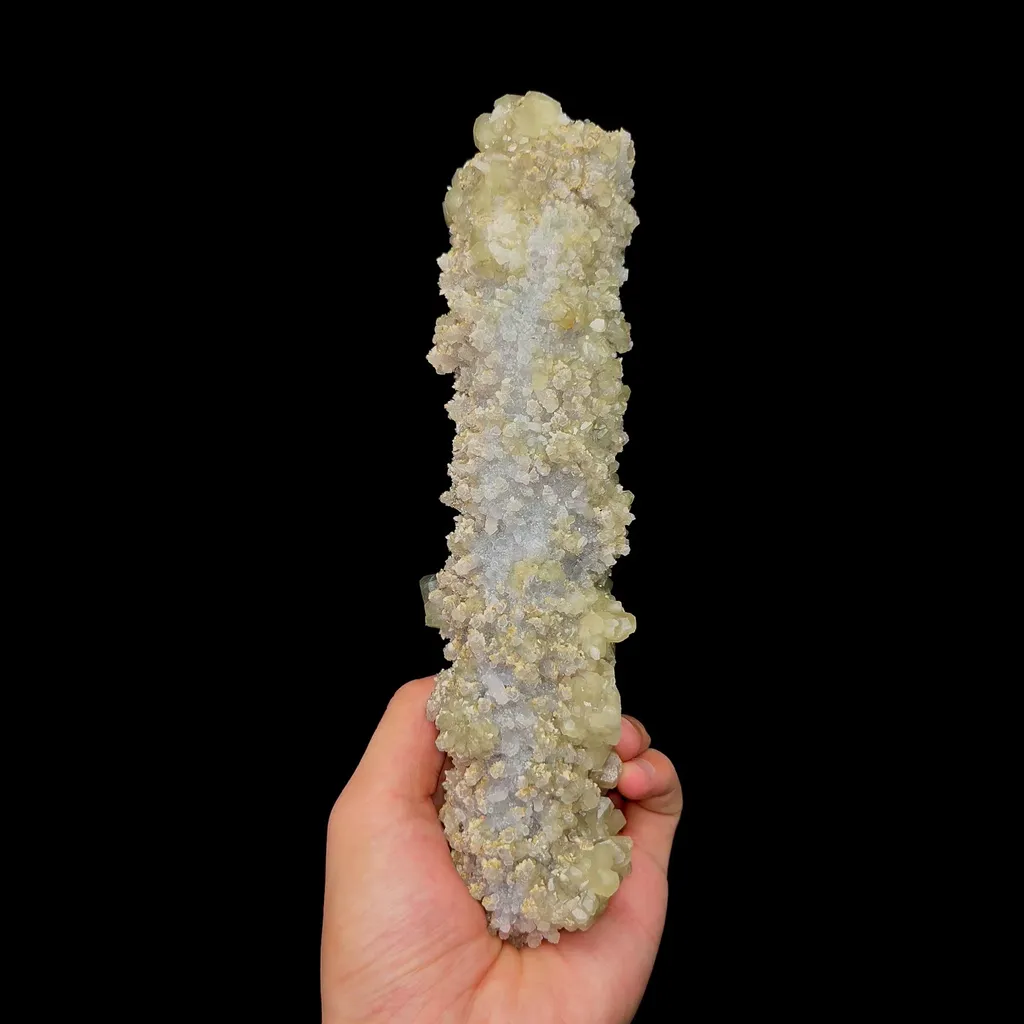 specimen video