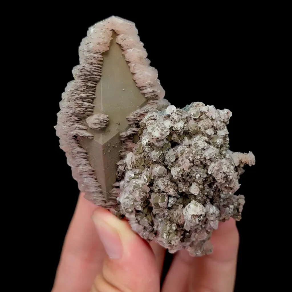 specimen video