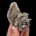 specimen video
