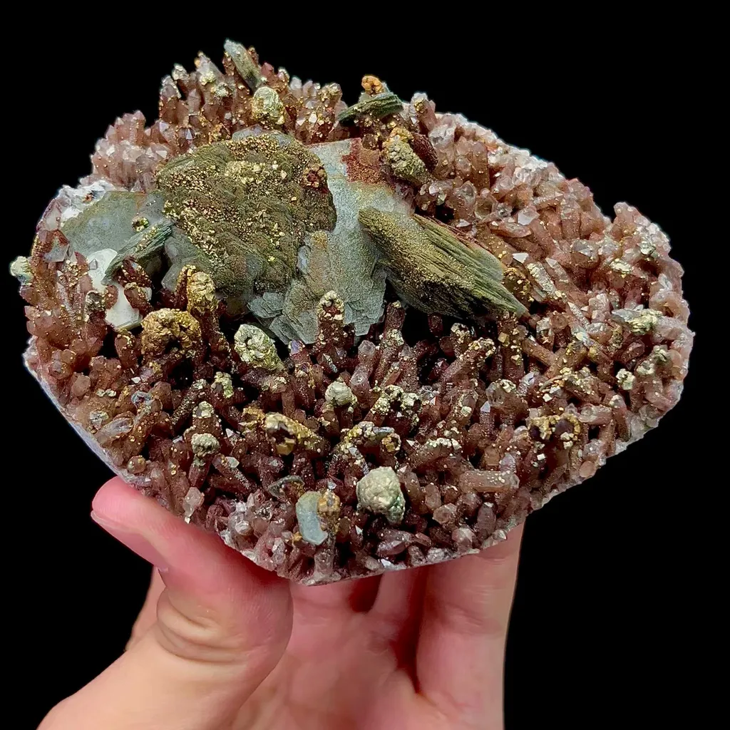 specimen video
