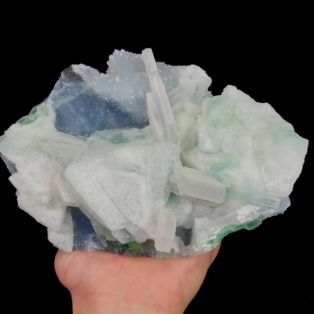 specimen video
