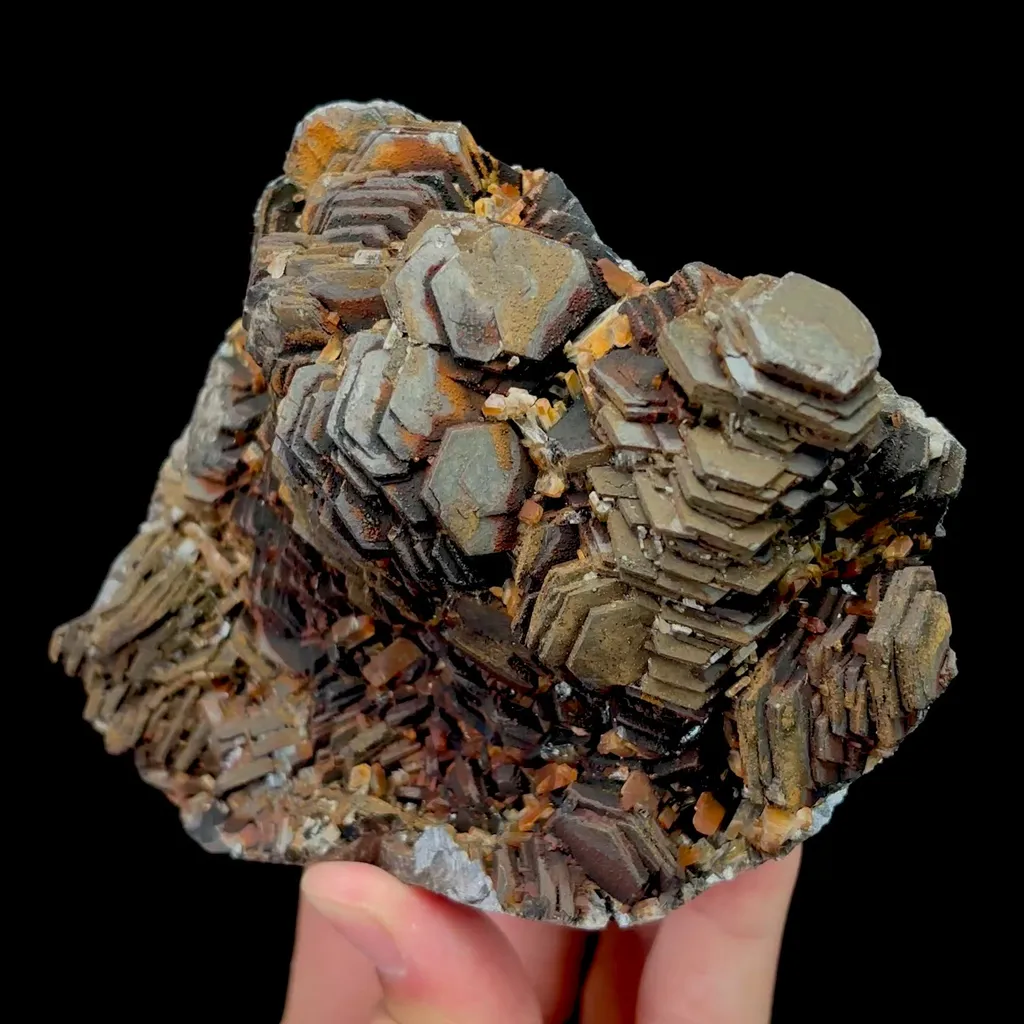 specimen video