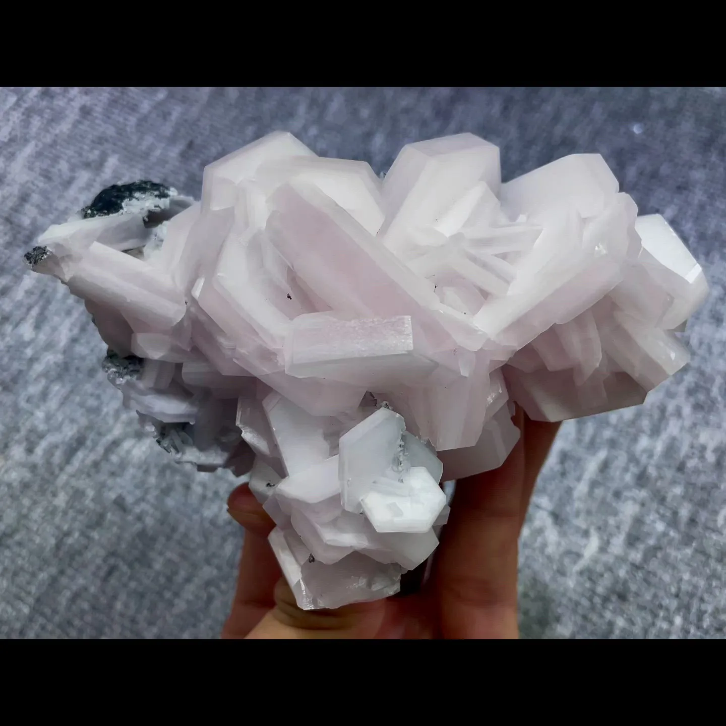 specimen video