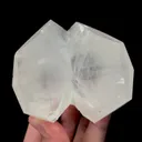 specimen video